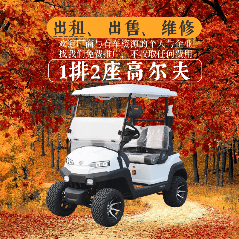 天津中宜，中菲宜达2座白色高尔夫球车出租
