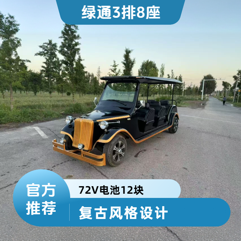 绿通3排8座黑色二手电动老爷车出售